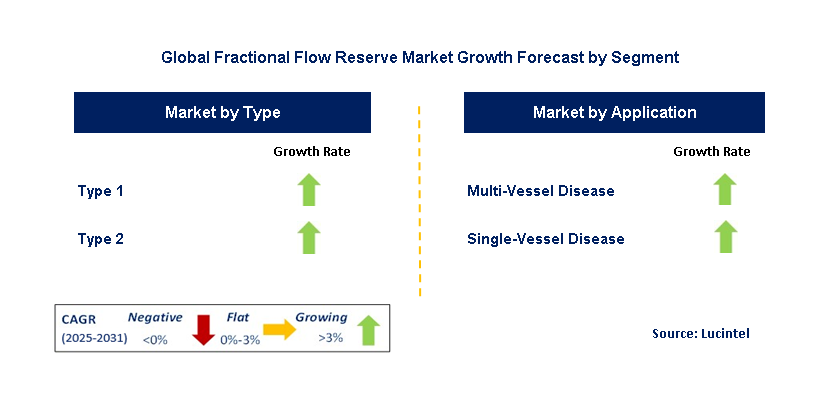 Fractional Flow Reserve Market by Segment